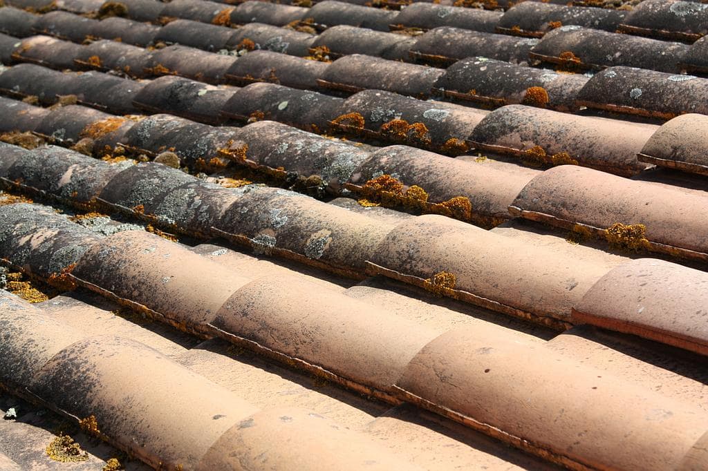 Démoussage tuiles gironde