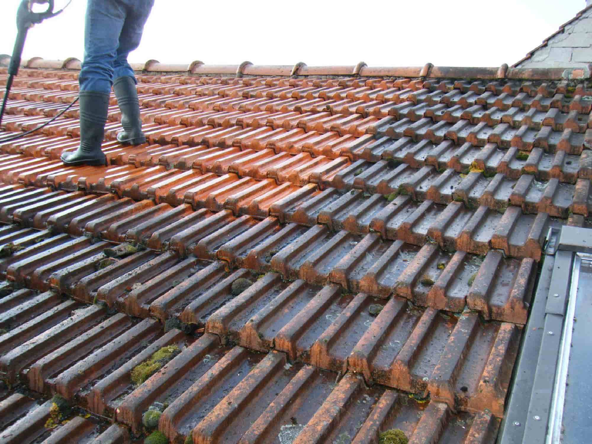 nettoyage mousse sur toit à Bordeaux par Dominique Rénovation